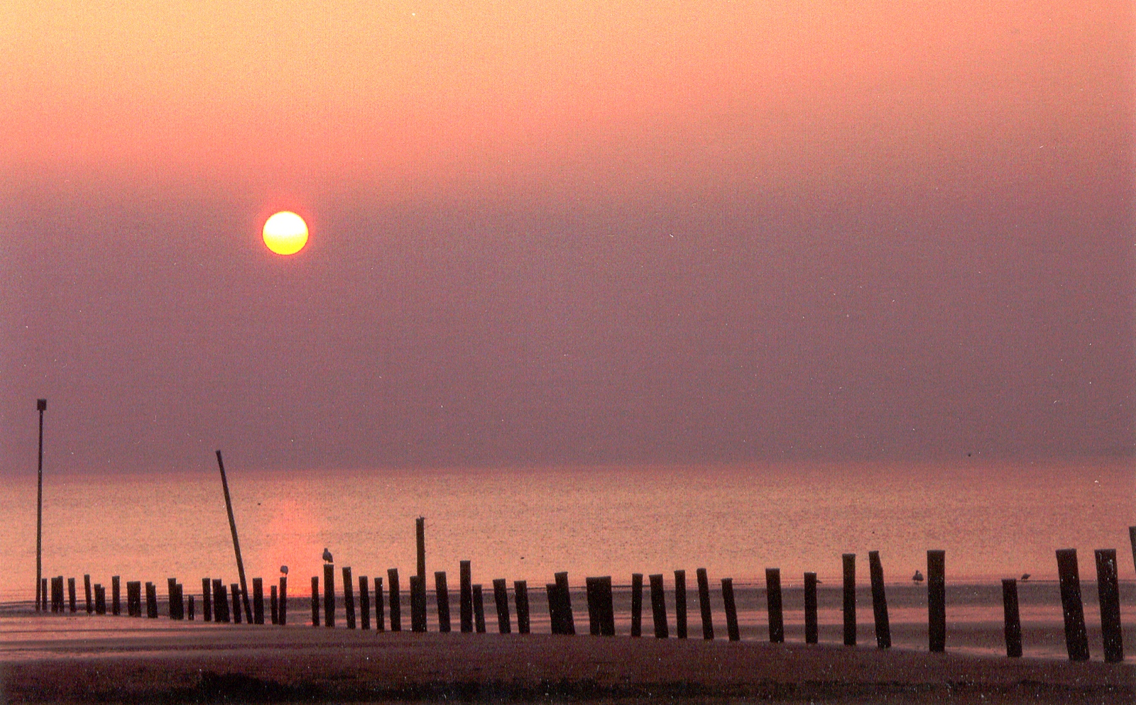 Sand Bay Sunset 2006